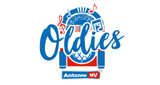Logo AMV Oldies & Evergreens