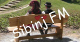 Logo Sibinj Hits FM