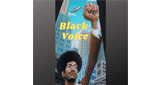 Logo Radio Black Voice
