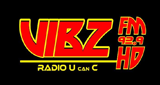 Logo Vibz FM