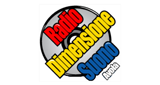 Logo Radio Dimensione Suono Avola