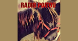 Logo Radio Poitou