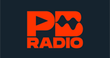 Logo Point Blank Radio