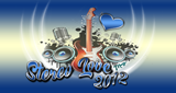 Logo Stereo Love 2012
