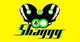 Logo Dj Shaggy Venezuela