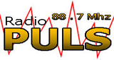 Logo Radio Puls Grocka