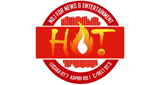 Logo HOT FM