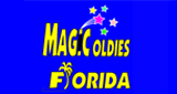 Logo Magic 80s Florida