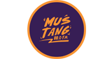 Logo Mustang 88 FM
