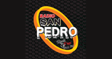 Logo Radio San Pedro