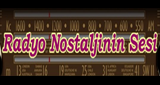 Logo Radyo Nostaljinin Sesi