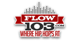 Logo Flow 103