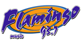 Logo Flamingo Stereo