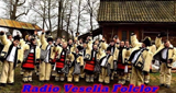 Logo Radio Veselia Folclor