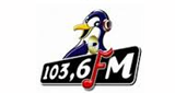 Logo Pinguin Radio Bali