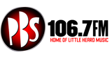 Logo PBS