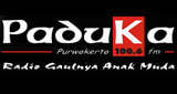 Logo Paduka FM
