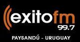 Logo Exito FM