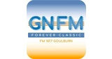 Logo GNFM