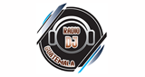 Logo Radio DJ Guatemala