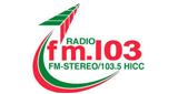 Logo FM 103.5