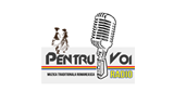 Logo Radio Pentru Voi