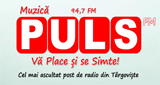 Logo Radio Puls 94.7 FM