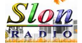 Logo Radio Slon FM