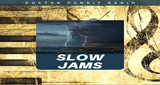 Logo Doctor Pundit Slow Jams