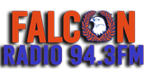 Logo Falcon FM