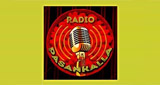 Logo Radio Pasankalla