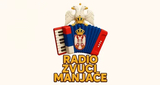 Logo Radio Zvuci Manjače