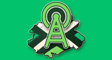 Logo Achterhoeksepiraten.com