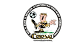 Logo Colosal