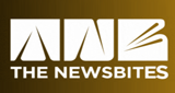 Logo The Newsbites