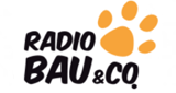 Logo Radio 105 Radio Bau & Co