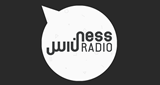 Logo Ness Radio