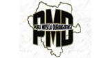 Logo Pura Música Duranguense
