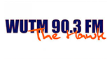 Logo The Hawk