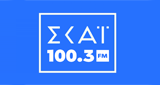 Logo Skai
