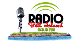 Logo Bell Island