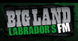 Logo Big Land