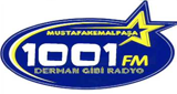 Logo 1001 FM