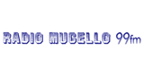Logo Radio Mugello