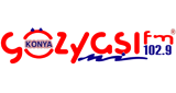 Logo Gozyasi FM