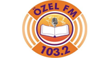 Logo Özel FM