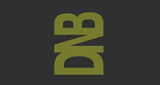 Logo DNB Station