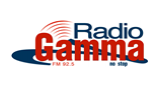 Logo Radio Gamma No Stop