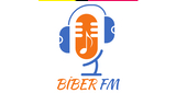 Logo Biber FM