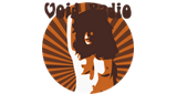 Logo Radio Void
